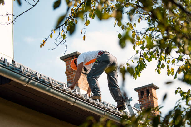 Best Storm Damage Roof Repair  in Roosevelt Gardens, FL